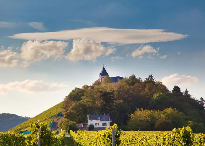 Appartamento Mosel Time New 2022 *